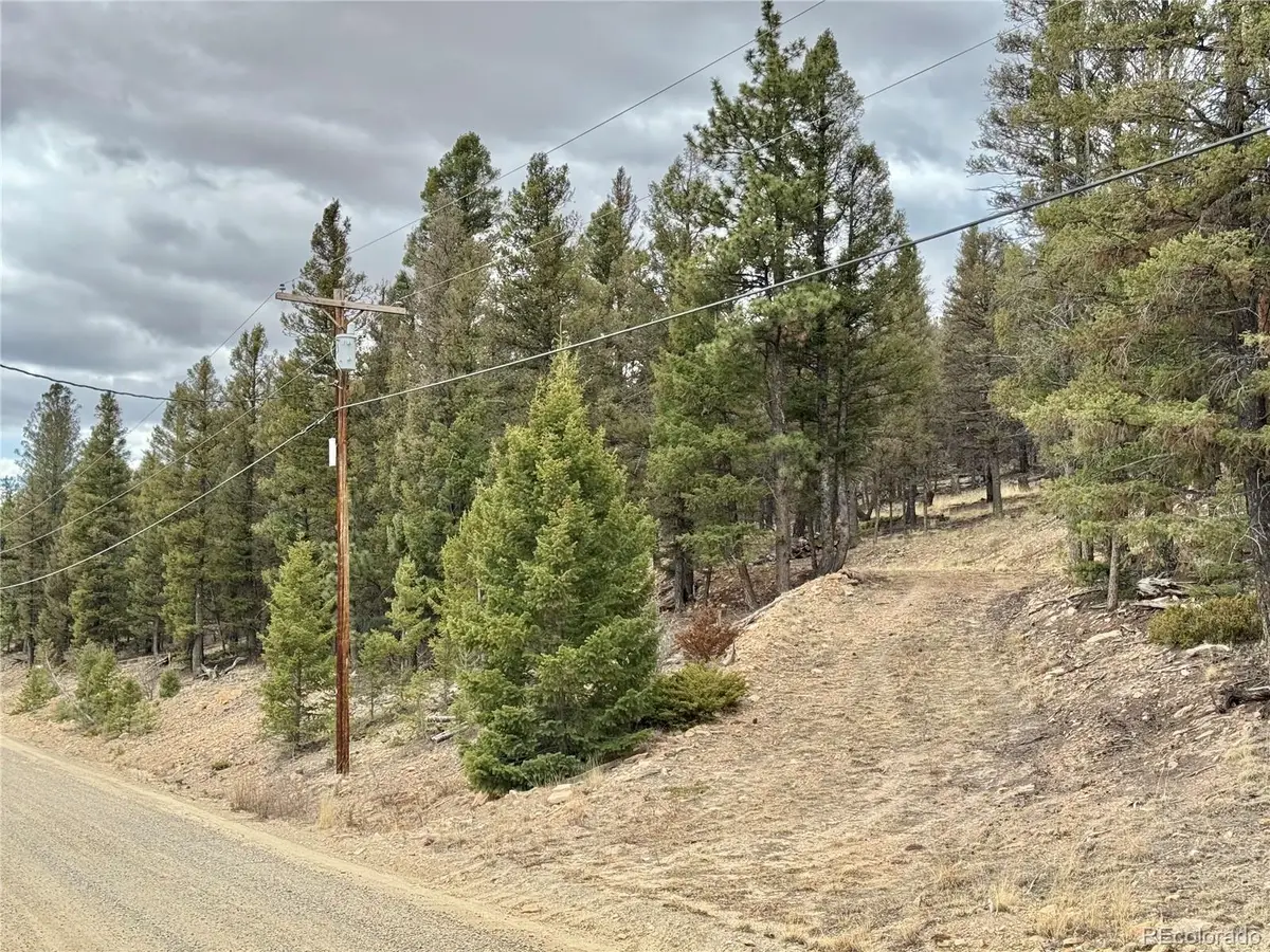 2403 Redhill Road, Fairplay, CO 80440 - #1