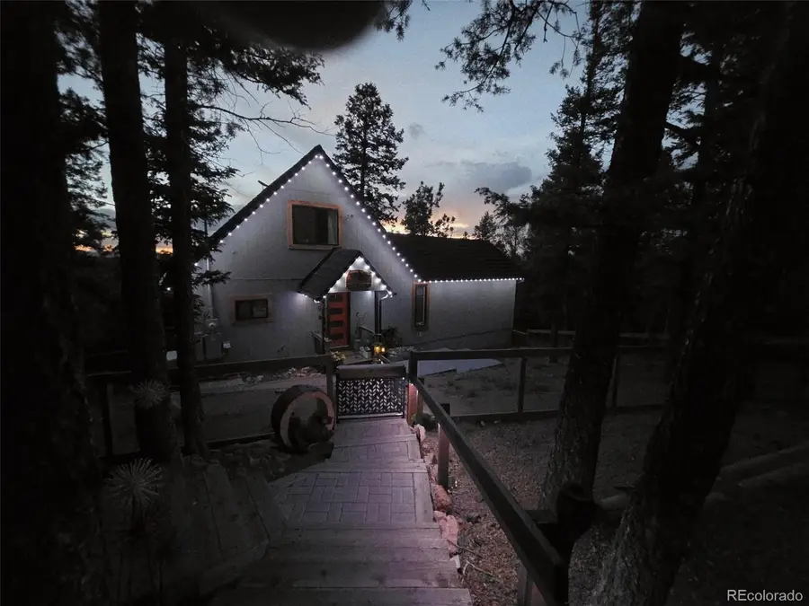 87 Bonanza Circle, Florissant, CO 80816 - #2