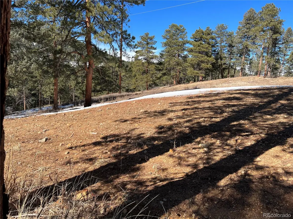 Lot 1 Iowa Gulch Road, Morrison, CO 80465 - #1