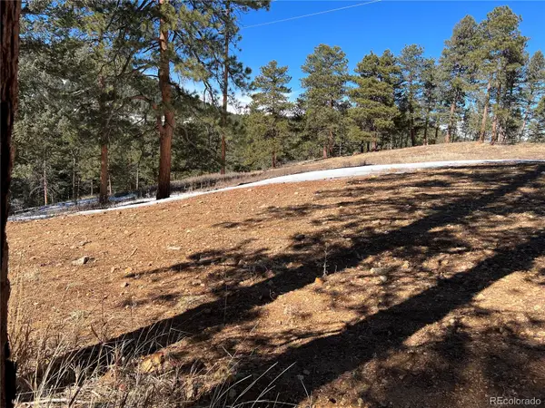 Lot 1 Iowa Gulch Road, Morrison, CO 80465