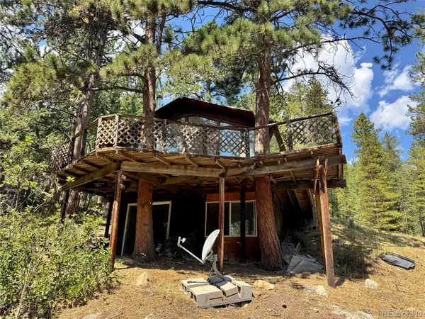 1324 Pine Glade Road, Nederland, CO 80466