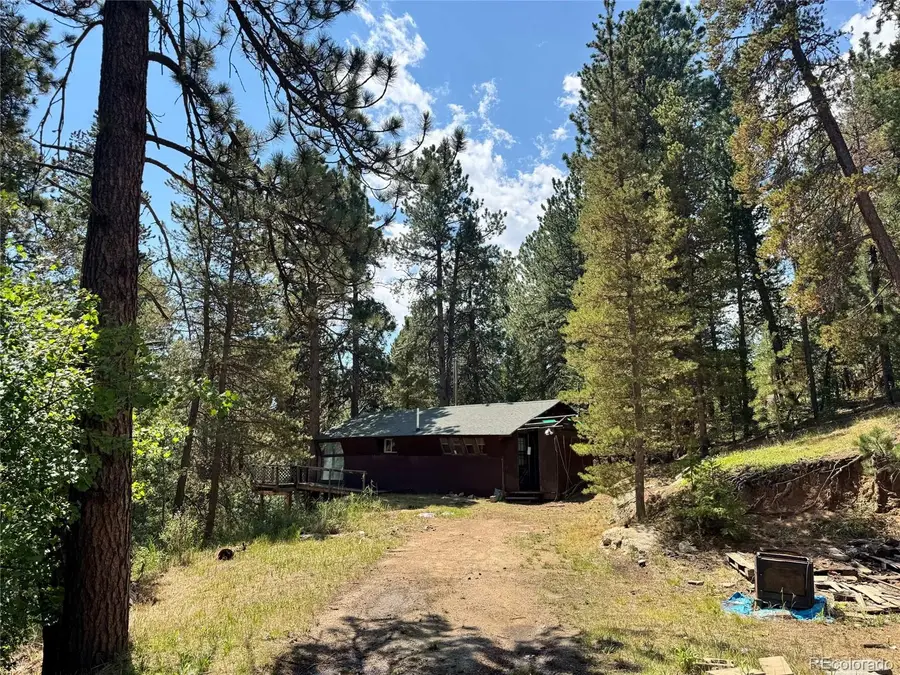 1324 Pine Glade Road, Nederland, CO 80466 - #3
