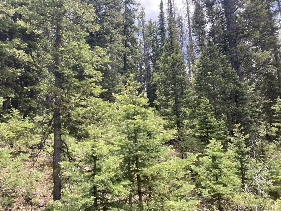 Lot 6614 Starkweather Road, San Luis, CO 81152 - #3