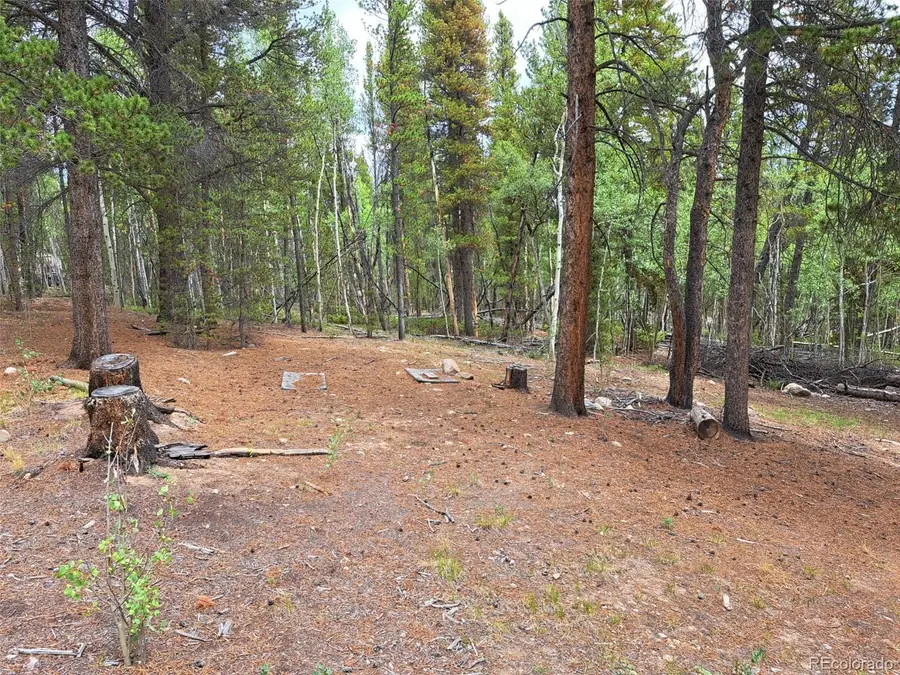 1201 Beaver Creek Road, Fairplay, CO 80440 - #2