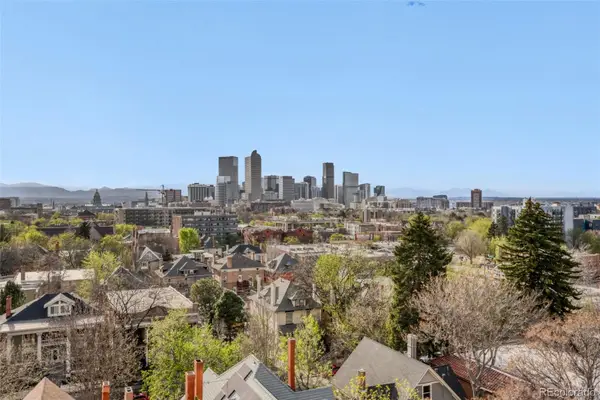 1433 N Williams Street #1007, Denver, CO 80218