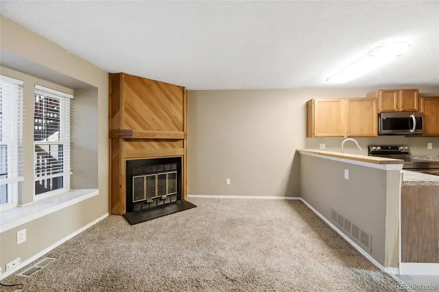 1100 S Waco Street #F, Aurora, CO 80017 - #3