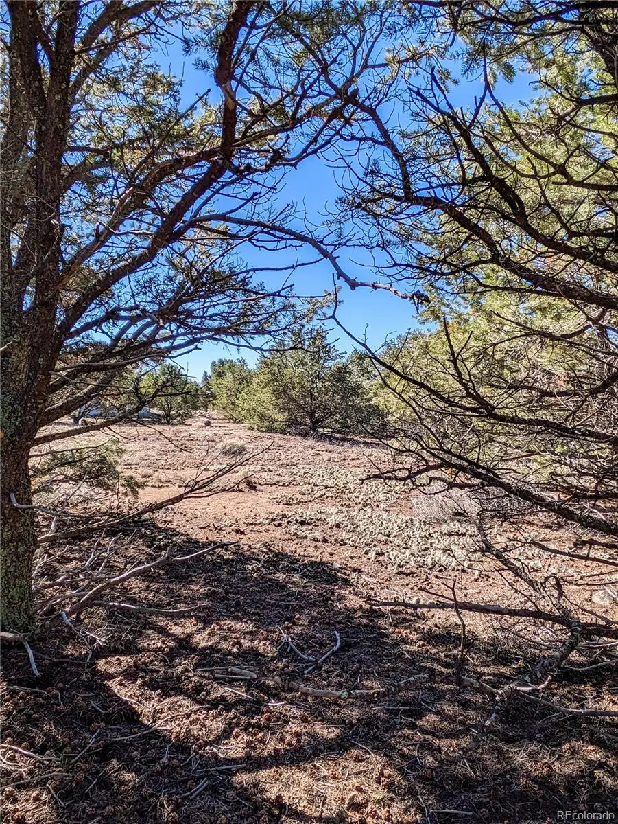 3384 Genial, Crestone, CO 81131 - #1