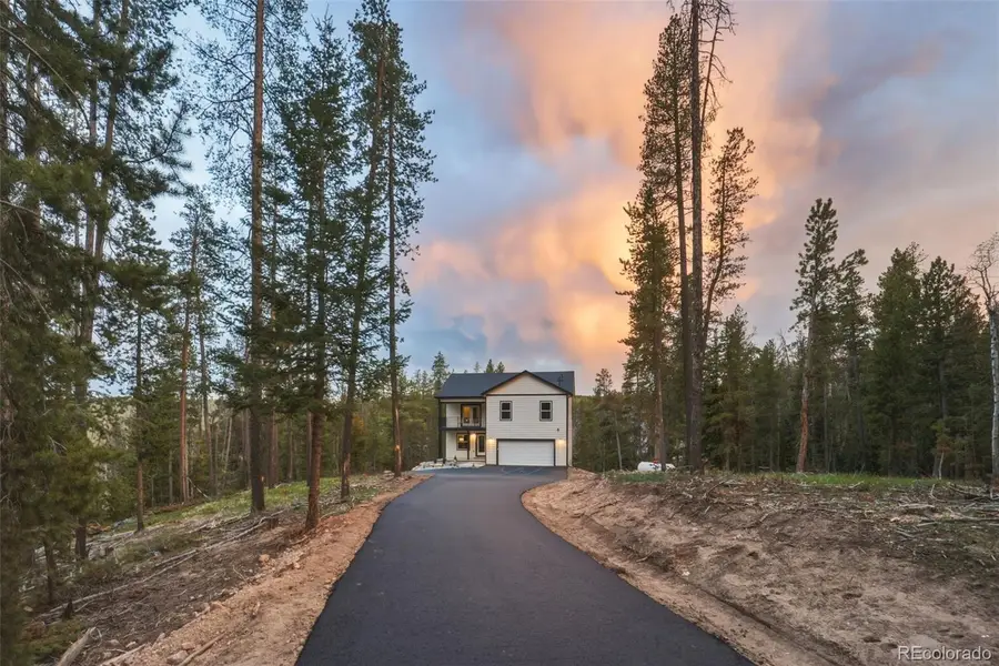 10997 Vickery Avenue, Conifer, CO 80433 - #3