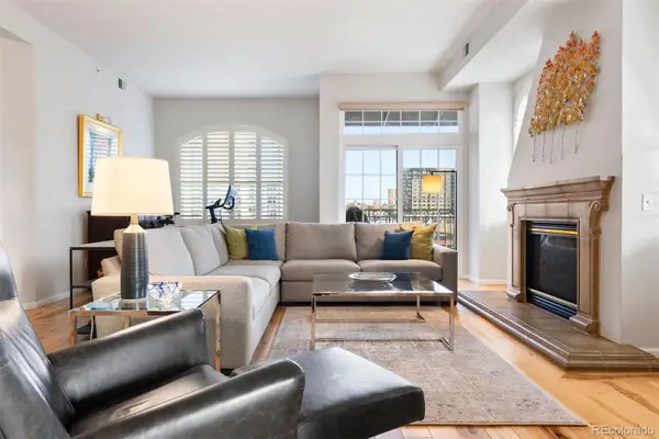 1100 Cherokee Street #803, Denver, CO 80204