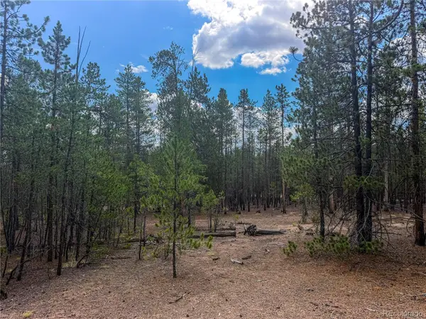 569 Birch Drive, Leadville, CO 80461