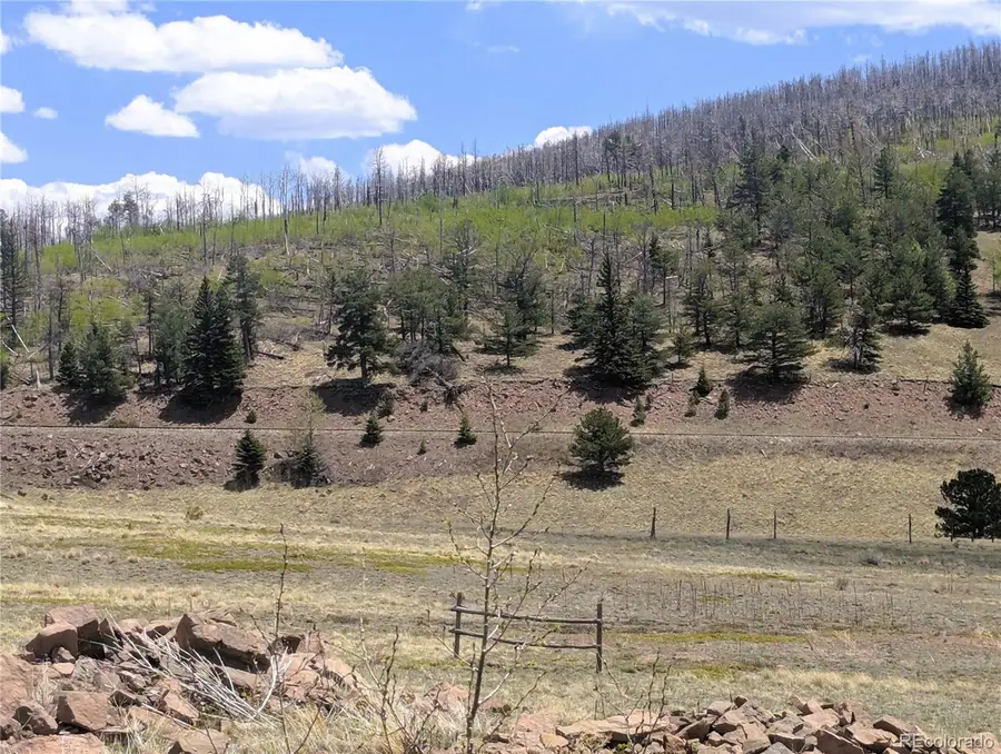 1670 Cary Lane, Fort Garland, CO 81133 - #3