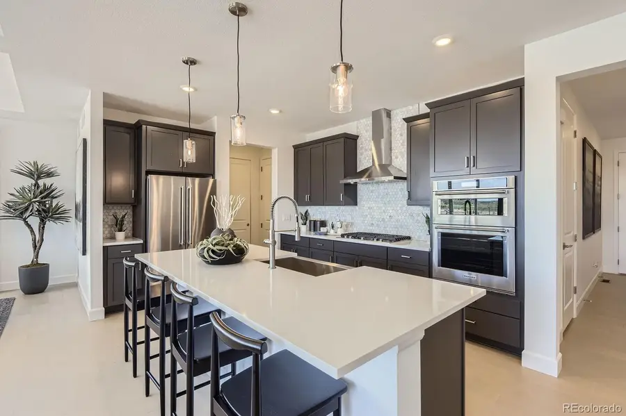 13792 Daffodil Point, Parker, CO 80134 - #3