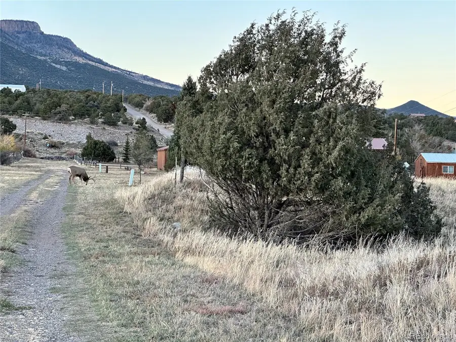 129 Rayburn Road, South Fork, CO 81154 - Image #3