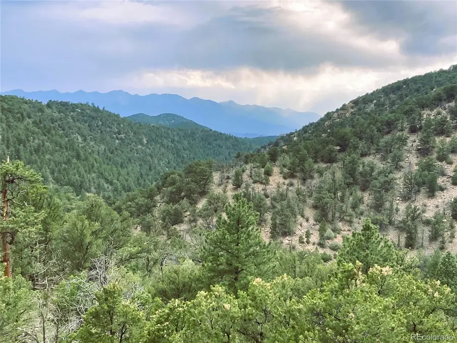 1209 Coyote Run, Cotopaxi, CO 81223 - #2