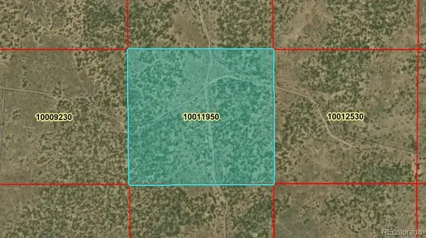 40 Acres N Canyon Drive, San Luis, CO 81152