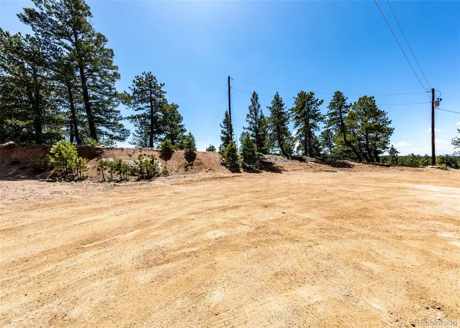 110 La Abu Trail, Florissant, CO 80816 - #2