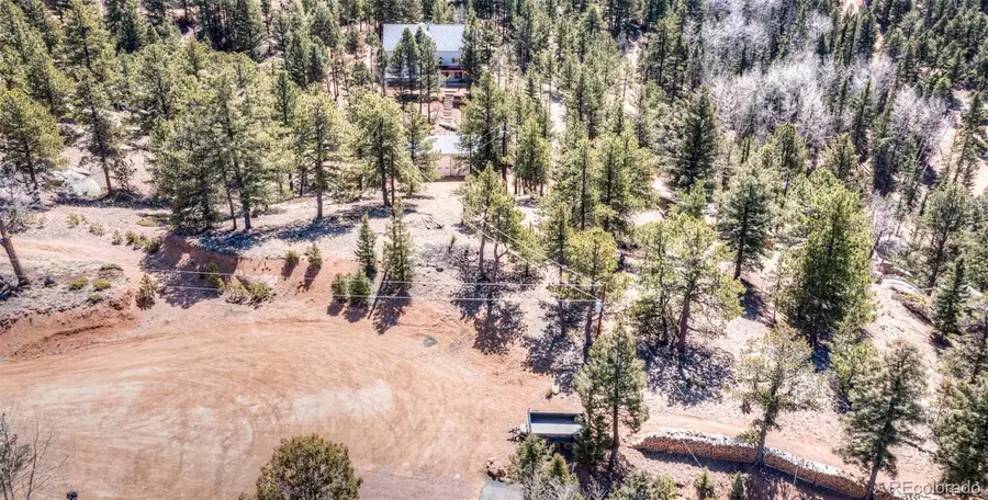 110 La Abu Trail, Florissant, CO 80816 - #3