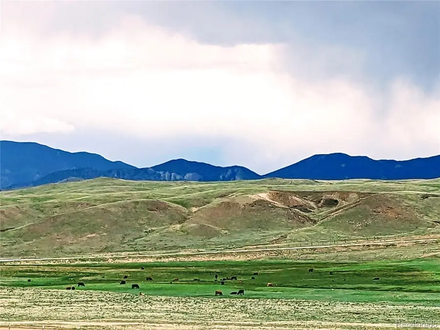 2667 Cahokia Road, Hartsel, CO 80449 - Image #3