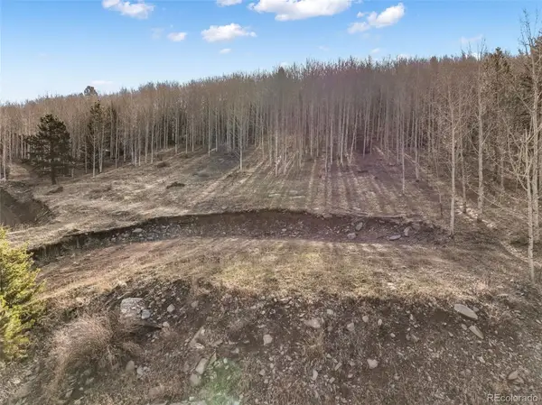 690 Anges Drive, Cripple Creek, CO 80813