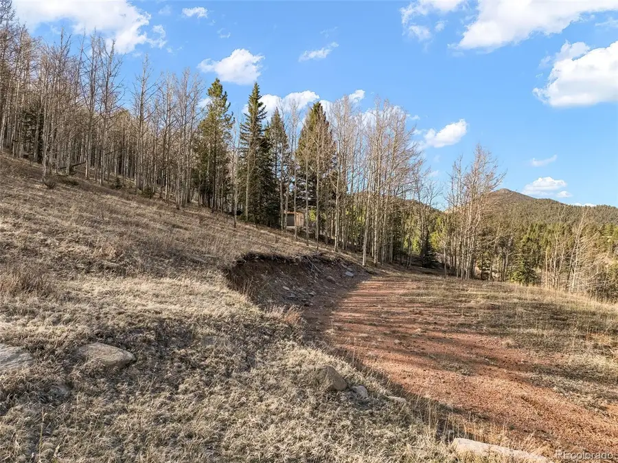 690 Anges Drive, Cripple Creek, CO 80813 - #2
