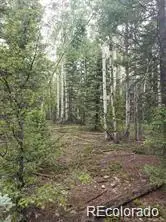 Lot 4-6 8th Street, Jasper, CO 81132