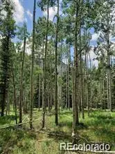 Lot 4-6 8th Street, Jasper, CO 81132 - #2