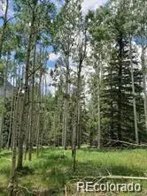 Lot 4-6 8th Street, Jasper, CO 81132 - #3