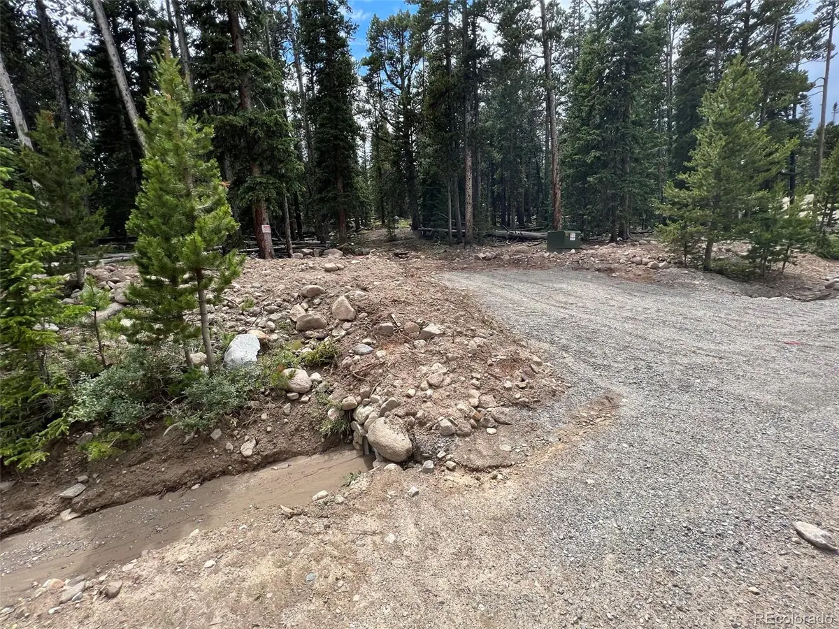 117 Miners Way, Fairplay, CO 80440 - #1