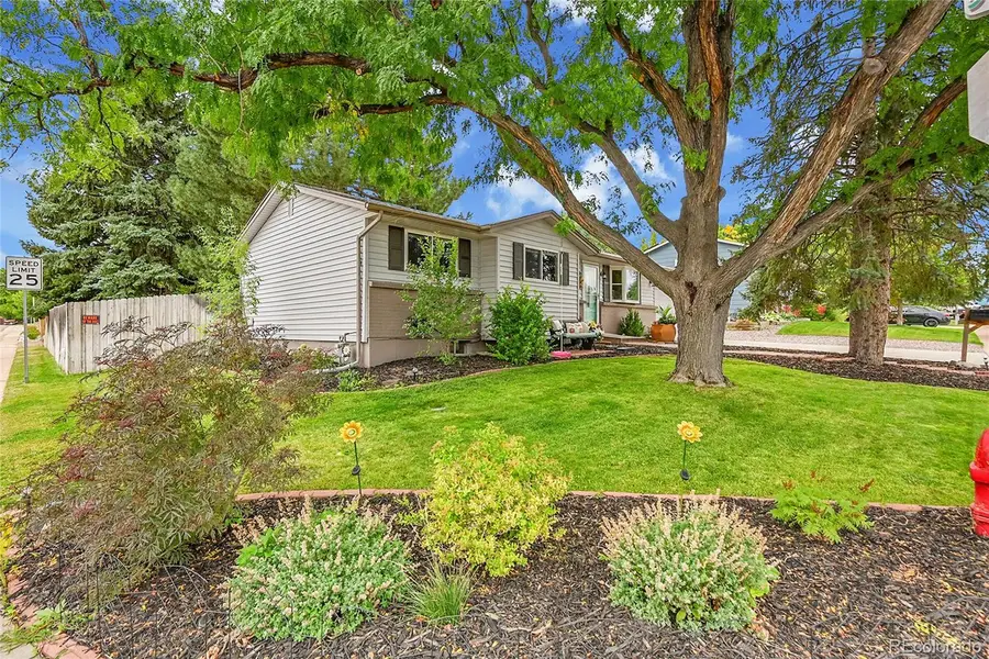 13564 Delphi Drive, Lone Tree, CO 80124 - #2