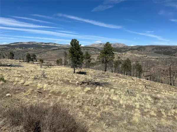 Lot 184 Forbes Park, Fort Garland, CO 81133