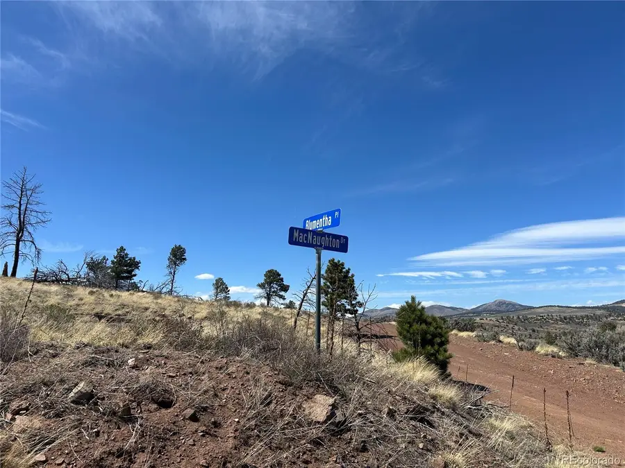 Lot 184 Forbes Park, Fort Garland, CO 81133 - #2