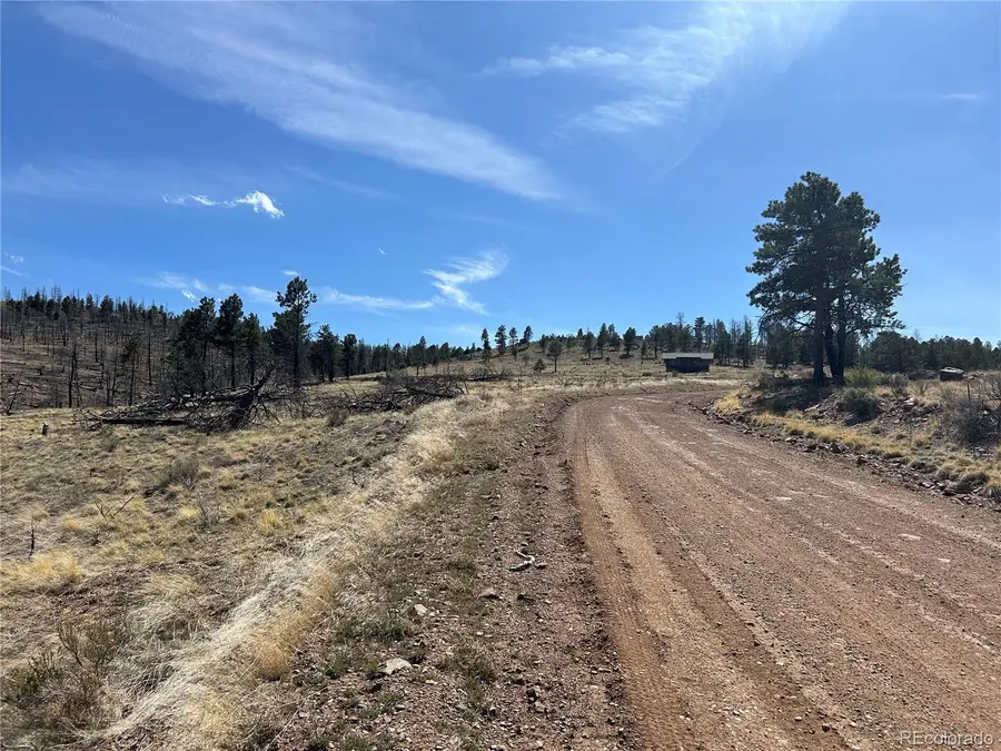 Lot 184 Forbes Park, Fort Garland, CO 81133 - #3