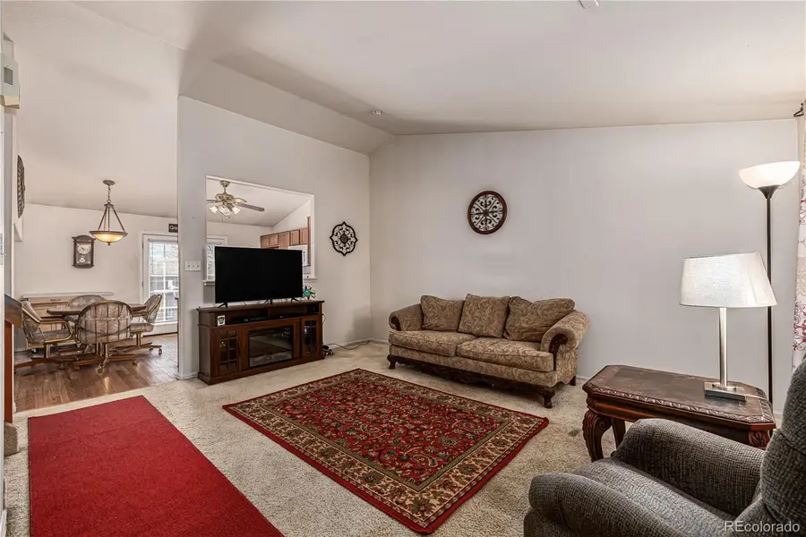 11320 E 116th Drive, Commerce City, CO 80640 - #3