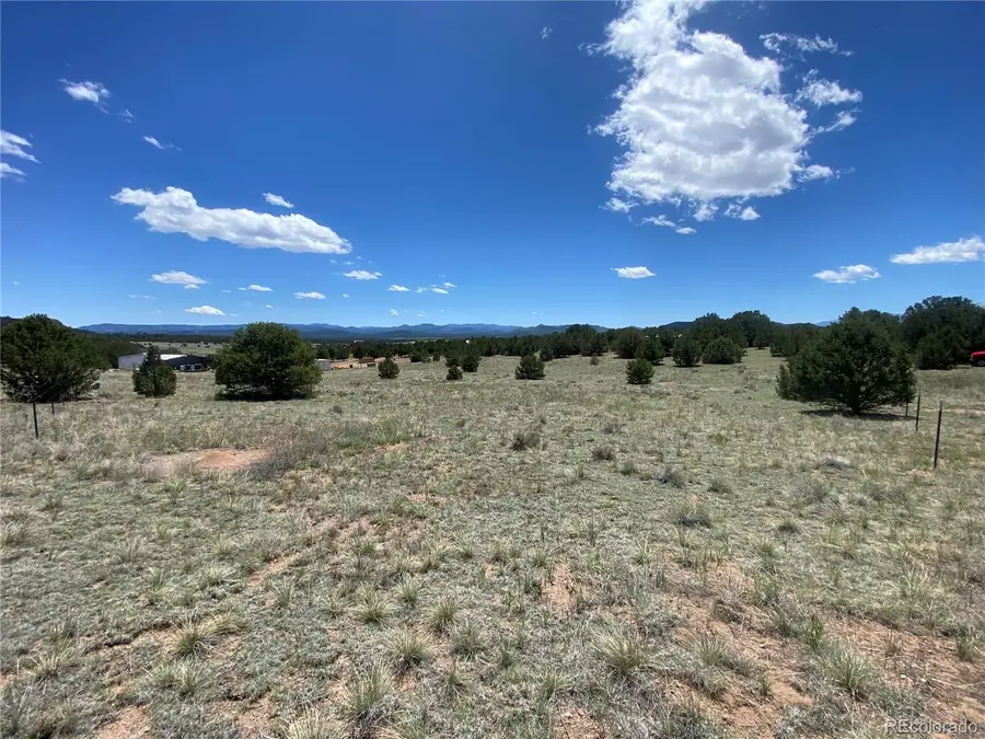 1638 20th Trail, Cotopaxi, CO 81223 - #2