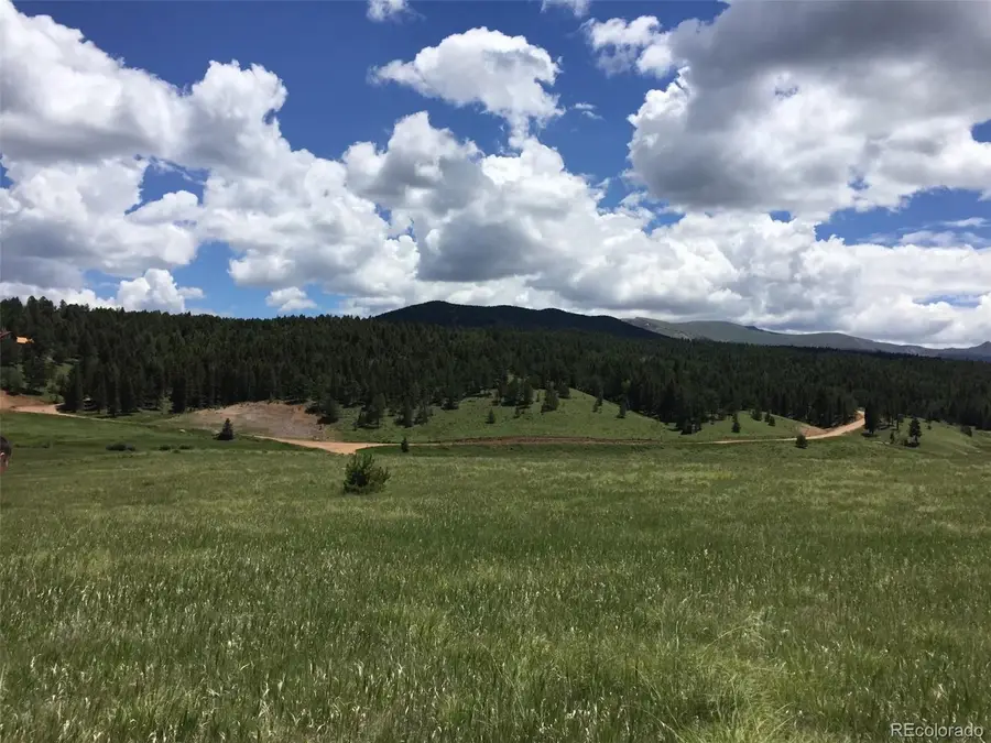 4600 Elk Valley Road, Divide, CO 80814 - #3