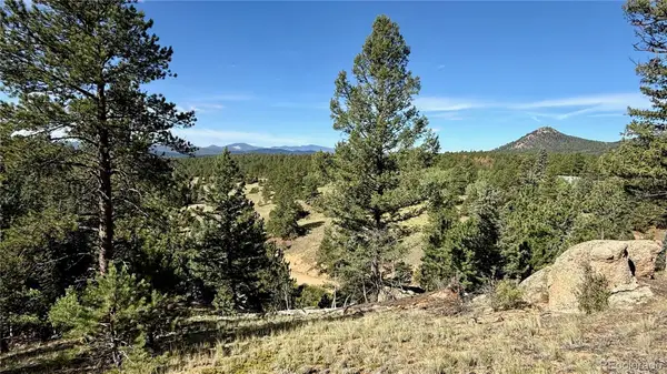 196 Beaver Creek Circle, Florissant, CO 80816