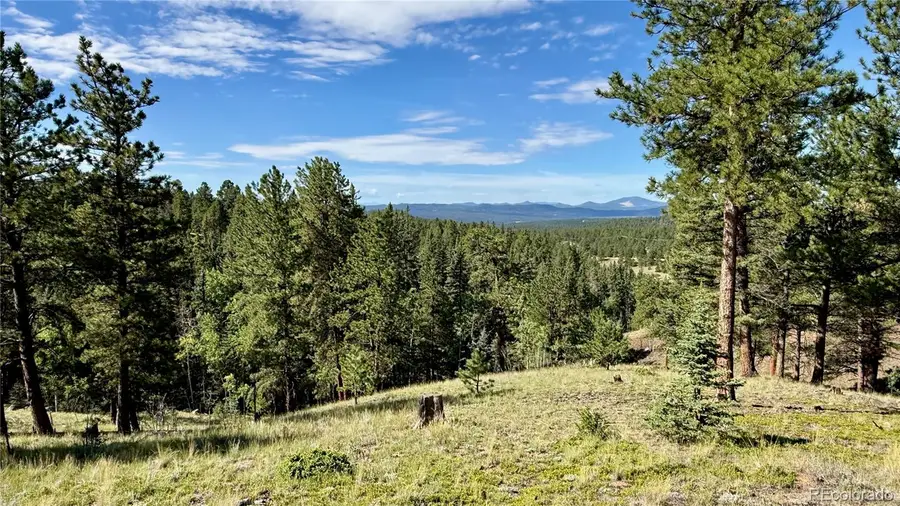 196 Beaver Creek Circle, Florissant, CO 80816 - #2