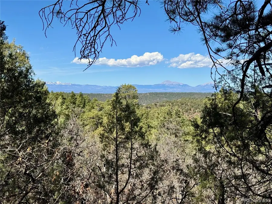 34999 Timber Park Drive, Trinidad, CO 81082 - #2