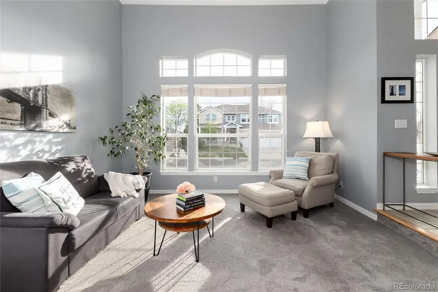 9798 Sylvestor Road, Highlands Ranch, CO 80129 - #2