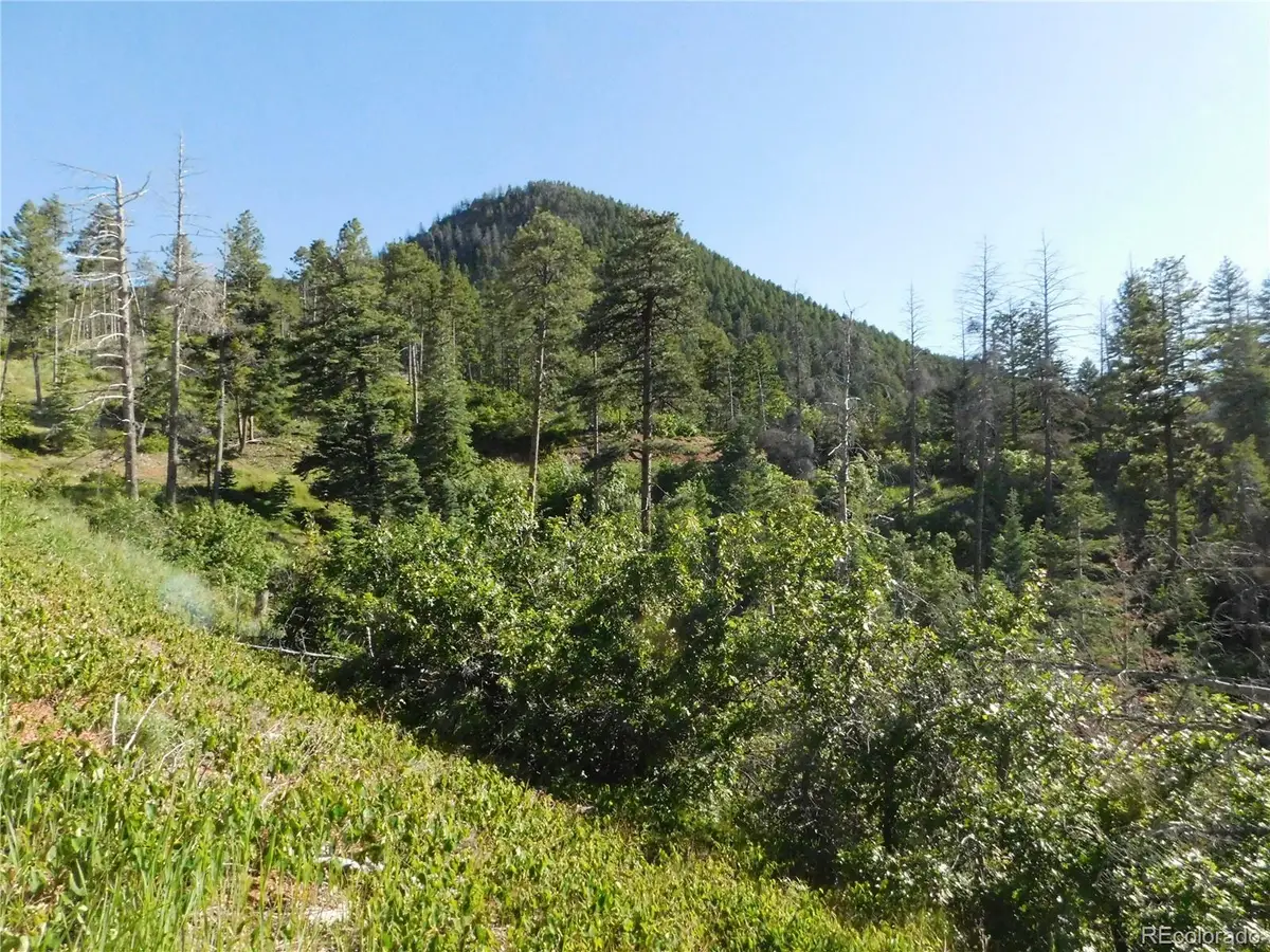5425 Cheyenne Drive, Larkspur, CO 80118 - #1