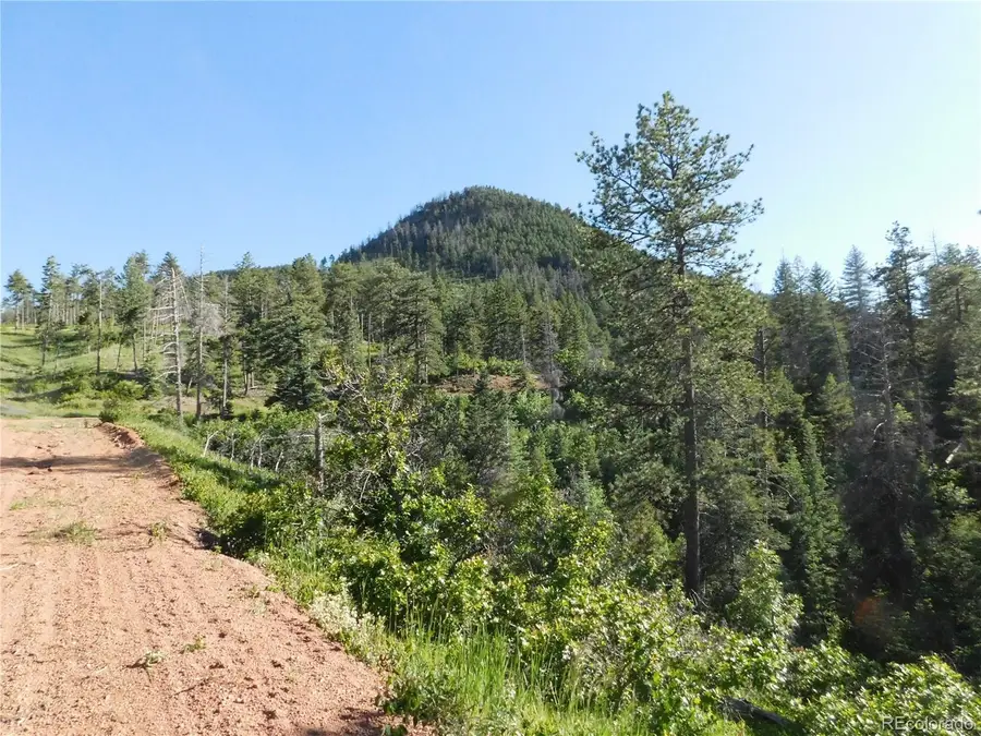 5425 Cheyenne Drive, Larkspur, CO 80118 - #2