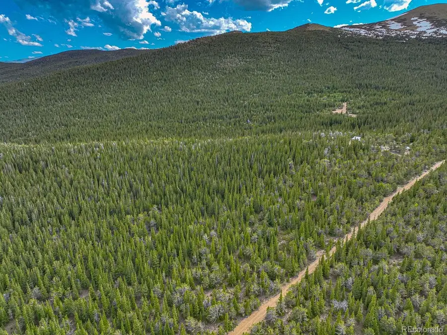 123 Mosquito Creek Road, Black Hawk, CO 80422 - #3