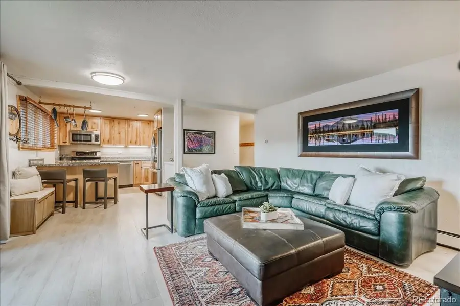 365 Salt Lick Circle, Silverthorne, CO 80498 - #2