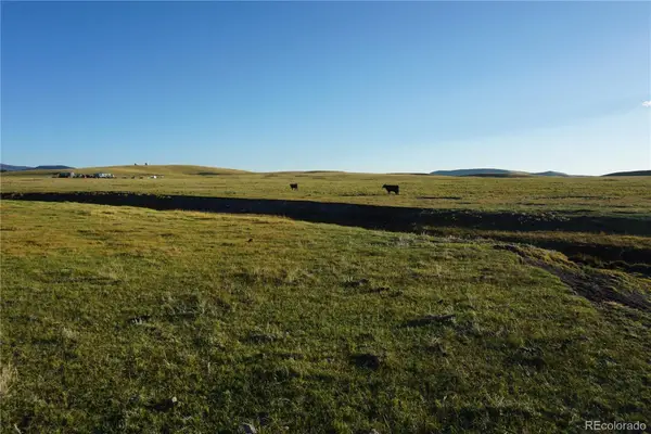 770 Pawnee Trail, Hartsel, CO 80449