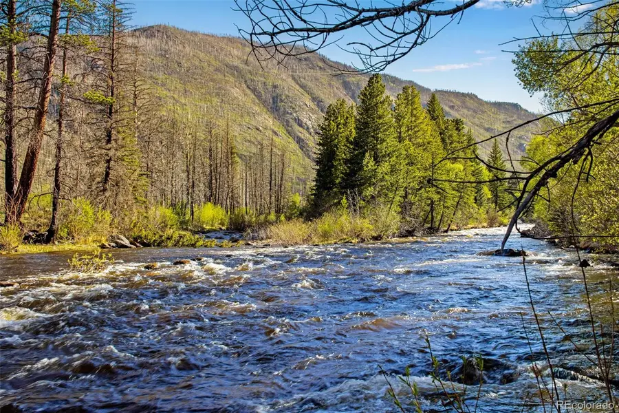 44174 Poudre Canyon Road, Bellvue, CO 80512 - #2