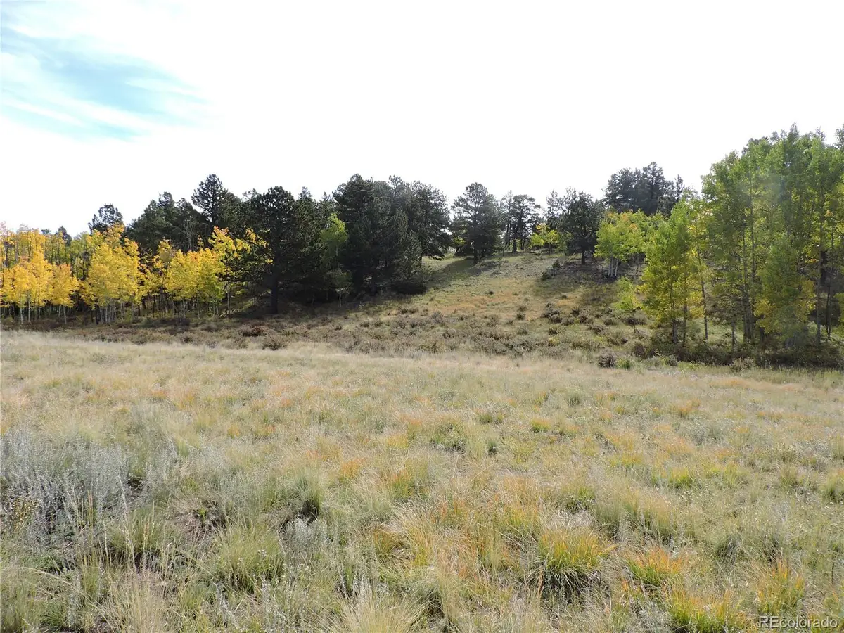 400 Aspen Way Drive, Lake George, CO 80827 - Image #1