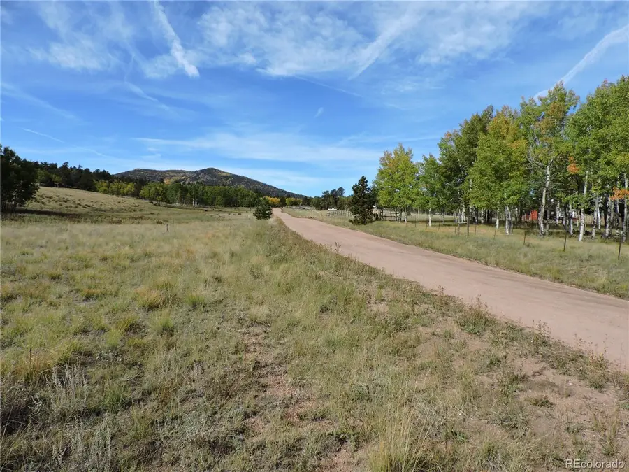 400 Aspen Way Drive, Lake George, CO 80827 - Image #2