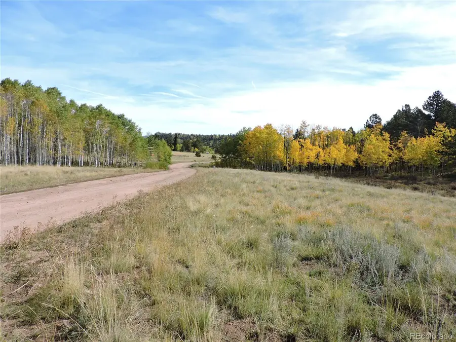 400 Aspen Way Drive, Lake George, CO 80827 - Image #3