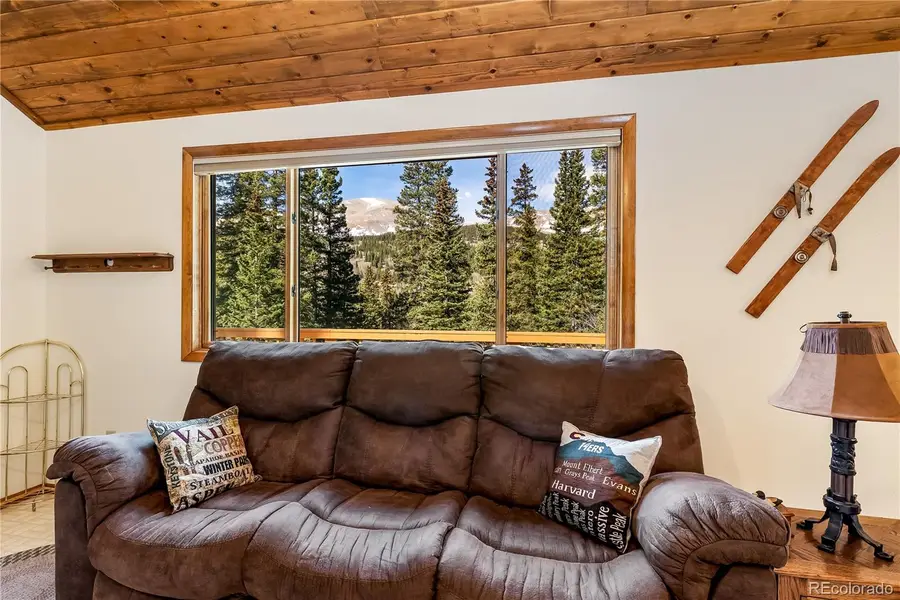 235 Nuthatch Drive, Alma, CO 80420 - #3