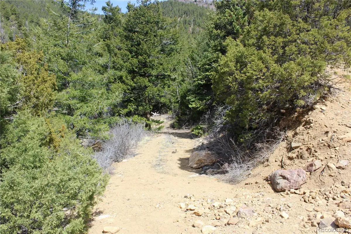 00 County Rd 308, Idaho Springs, CO 80436 - #1